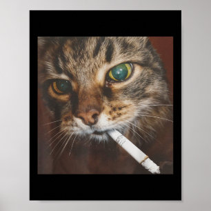 Grappig Roken Kat Meme Poster