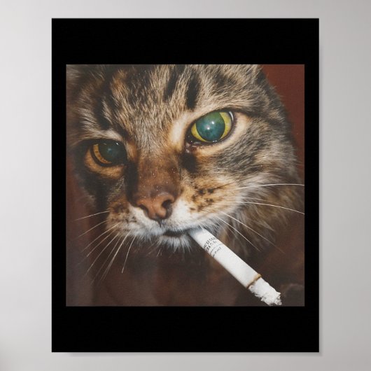 Grappig Roken Kat Meme Poster (Voorkant)