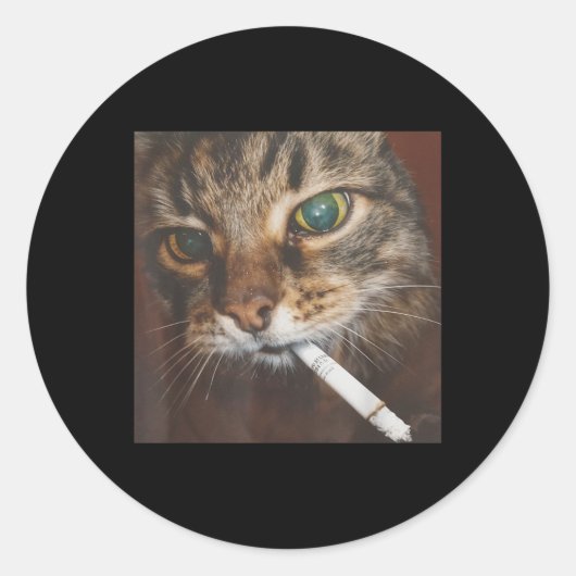 Grappig Roken Kat Meme Ronde Sticker (Voorkant)