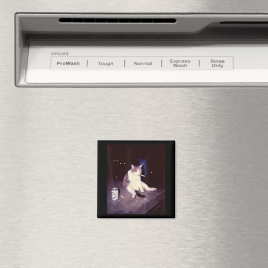 Grappig Roken Meme Sigaret Kitten Brainrot Gekke Magneet (Insitu (Vaatwasser))