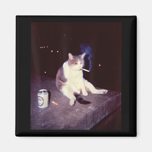 Grappig Roken Meme Sigaret Kitten Brainrot Gekke Magneet (Voorkant)