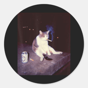 Grappig Roken Meme Sigaret Kitten Brainrot Gekke Ronde Sticker