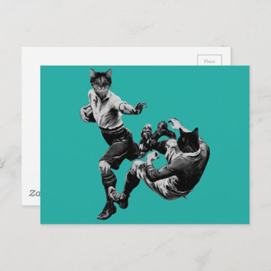 grappig  rugby die katten speelt briefkaart (Voorkant / Achterkant)