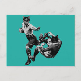 grappig  rugby die katten speelt briefkaart