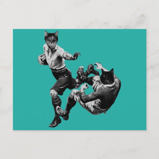 grappig  rugby die katten speelt briefkaart (Voorkant)