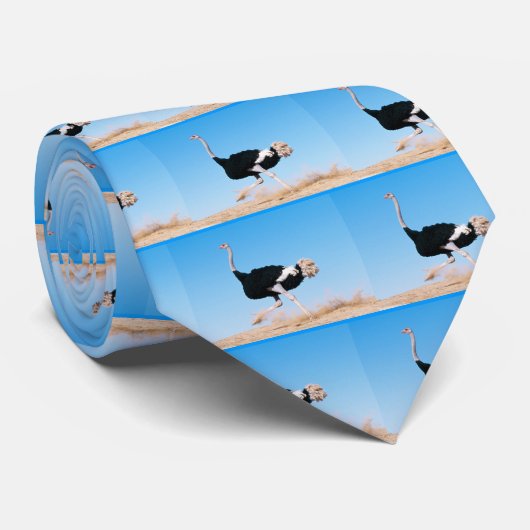 Grappig Running Struisvogel Foto Patroon Stropdas (Opgerold)