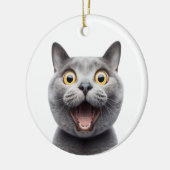 GRAPPIG RUSSISCH BLAUW GRIJS KAT VERRAST KAT GEZIC KERAMISCH ORNAMENT (Links)