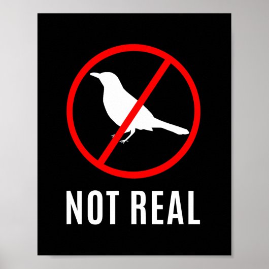 Grappig samenzwering Theoretische vogels zijn een  Poster (Voorkant)