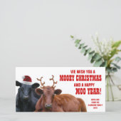 Grappig Santa Reindeer Koeien Christmas Beef Boerd Feestdagenkaart (Staand voorkant)