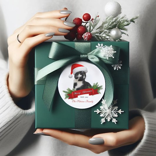 Grappig Sarcastisch Cat Santas Pet Kerst sticker