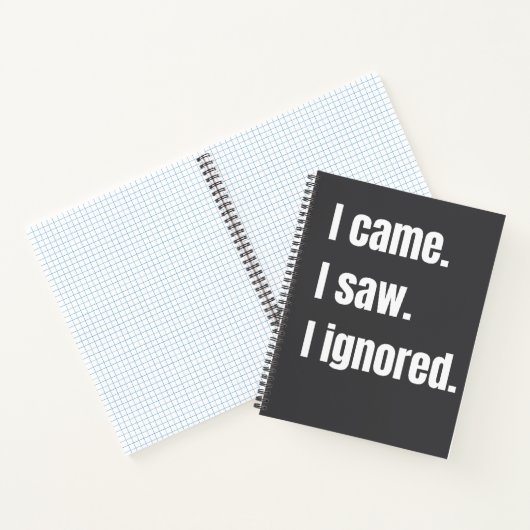 Grappig sarcastisch citaat dat ik kwam zag dat ik  notitieboek (Binnen)