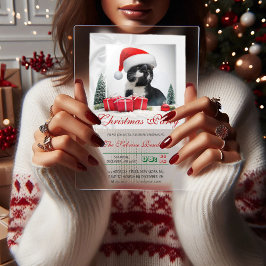 Grappig Sarcastisch Kat Santas Pet Kerstfeest Acryl Uitnodigingen