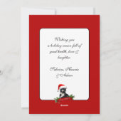 Grappig Sarcastisch Kat Santas Pet Kerstfeest Feestdagenkaart (Achterkant)