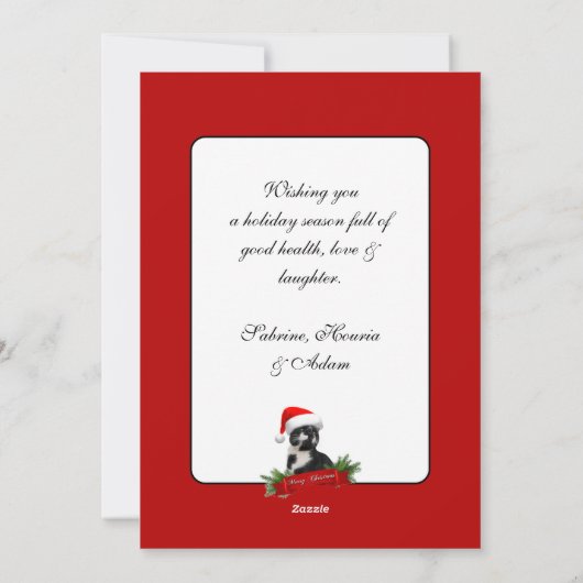 Grappig Sarcastisch Kat Santas Pet Kerstfeest Feestdagenkaart (Achterkant)