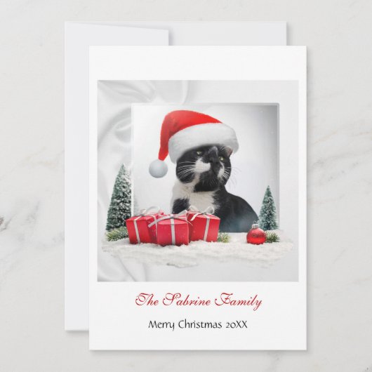 Grappig Sarcastisch Kat Santas Pet Kerstfeest Feestdagenkaart (Voorkant)