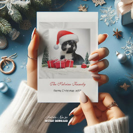 Grappig Sarcastisch Kat Santas Pet Kerstfeest Feestdagenkaart