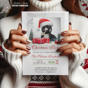Grappig Sarcastisch Kat Santas Pet Kerstfeest Kaart