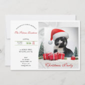 Grappig Sarcastisch Kat Santas Pet Kerstfeest Kaart (Voorkant)