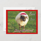 Grappig Schaap Kerst Briefkaart (Voorkant / Achterkant)