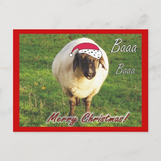 Grappig Schaap Kerst Briefkaart (Voorkant)