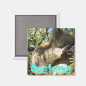 Grappig schattig Australië koala magneet ontwerp (Voorkant / Achterkant)