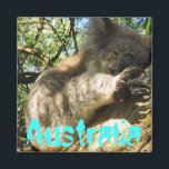 Grappig schattig Australië koala magneet ontwerp<br><div class="desc">Grappig schattig Australië koala magneet ontwerp</div>