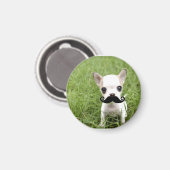 Grappig Schattig Chihuahua met snor Magneet (Voorkant / Achterkant)