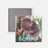 Grappig schattig koala beer Australië magneet (Voorkant / Achterkant)