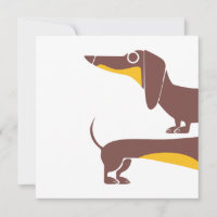 Grappig schattig teckel voor lange hond ouder