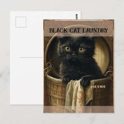 Grappig schattig zwart kattenwasgoed briefkaart (Voorkant / Achterkant)
