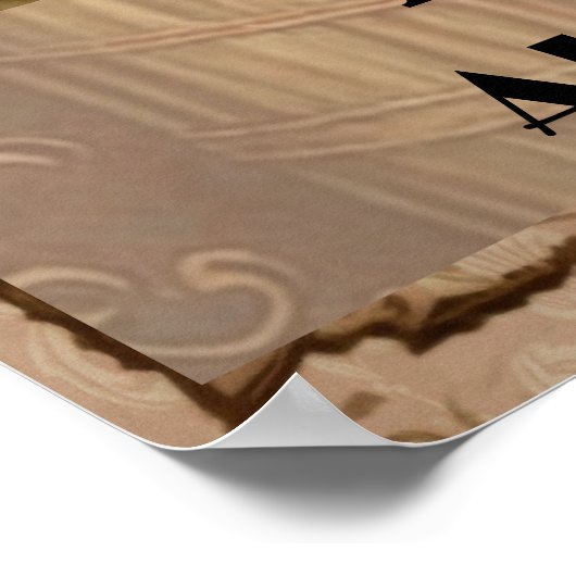 Grappig schattig zwart kattenwasgoed poster (Hoek)