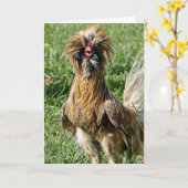 Grappig Schattige Bad Hair Day Haan Kaart (Gele Bloem)