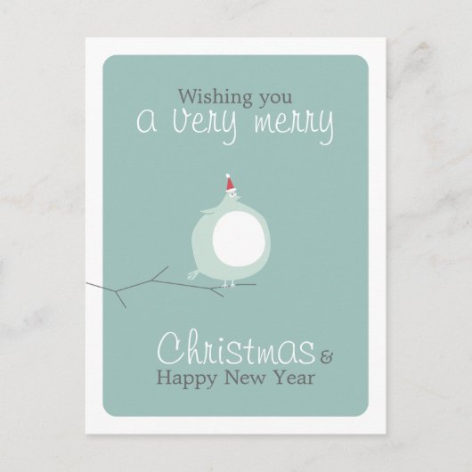 Grappig Schattige Dikke Vogel Kerstwensen Briefkaa Feestdagenkaart (Voorkant)