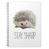 Grappig schattige egel: blijf scherp citaat hipste notitieboek (Voorkant)