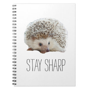 Grappig schattige egel: blijf scherp citaat hipste notitieboek