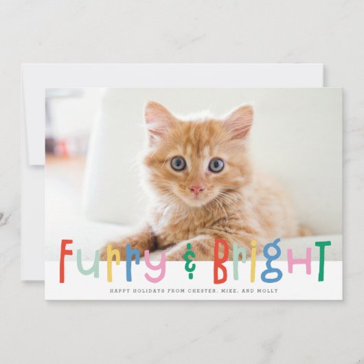 Grappig Schattige Furry & Bright Dog Cat Pet Foto Feestdagenkaart (Voorkant)