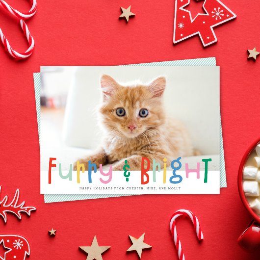 Grappig Schattige Furry & Bright Dog Cat Pet Foto Feestdagenkaart