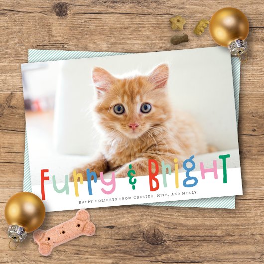 Grappig Schattige Furry & Bright Dog Cat Pet Foto Feestdagenkaart