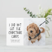 Grappig schattige huisdier, zwart-witte nieuwjaars feestdagenkaart (Staand voorkant)