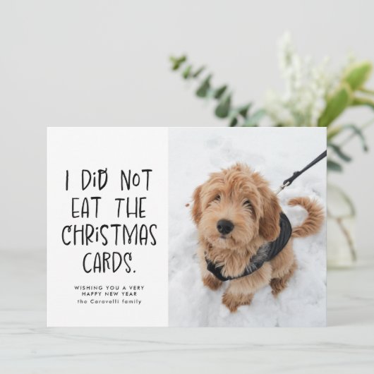 Grappig schattige huisdier, zwart-witte nieuwjaars feestdagenkaart (Staand voorkant)