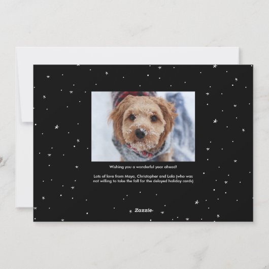 Grappig schattige huisdier, zwart-witte nieuwjaars feestdagenkaart (Achterkant)