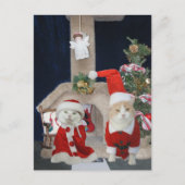 Grappig/Schattige Kerst Kat Condo Feestdagenkaart (Voorkant)
