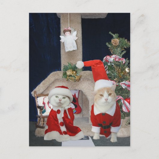 Grappig/Schattige Kerst Kat Condo Feestdagenkaart (Voorkant)