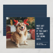 Grappig schattige petfoto blauw kerstfeest feestdagenkaart (Voorkant / Achterkant)