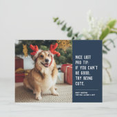 Grappig schattige petfoto blauw kerstfeest feestdagenkaart (Staand voorkant)