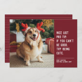 Grappig schattige petfoto rood kerstfeest feestdagenkaart (Voorkant / Achterkant)