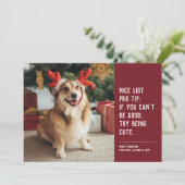 Grappig schattige petfoto rood kerstfeest feestdagenkaart (Staand voorkant)