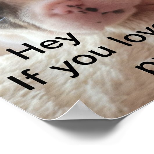 Grappig schattige pup-citaat poster (Hoek)