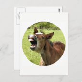 GRAPPIG SCHATTIGE VEULEN BRIEFKAART (Voorkant / Achterkant)