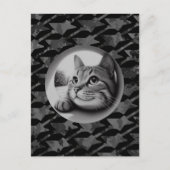 Grappig Schattigeste Hallo Cool Cat What's Up Anim Briefkaart (Voorkant)